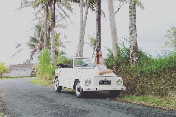 Daily VW Tour - Ubud VW Tour - Duration and Flexibility
