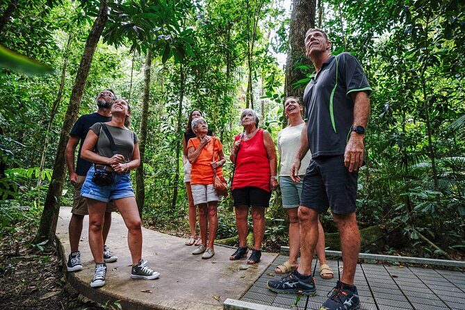 Daintree, Cape Tribulation & River Cruise from Port Douglas - Dive Into the Heart of Australia’s Oldest Rainforest