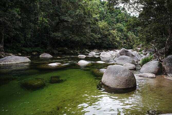 Daintree, Cape Tribulation & River Cruise from Port Douglas - The Practical Side: Transport, Duration, and Comfort