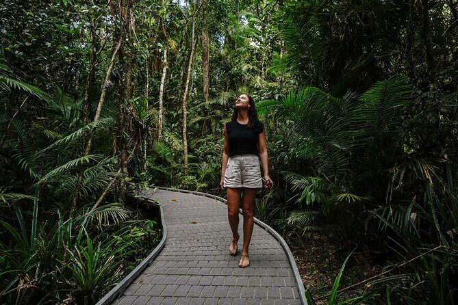 Daintree, Cape Tribulation & River Cruise from Port Douglas - The Sum Up