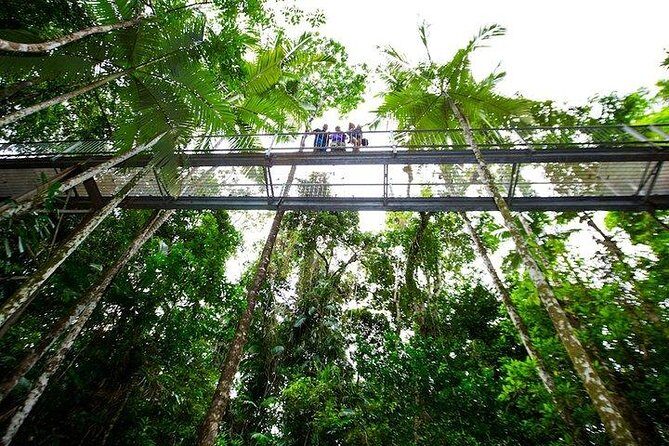 Daintree Discovery Centre Family Pass Ticket - Introduction: What to Expect from the Daintree Discovery Centre Family Pass
