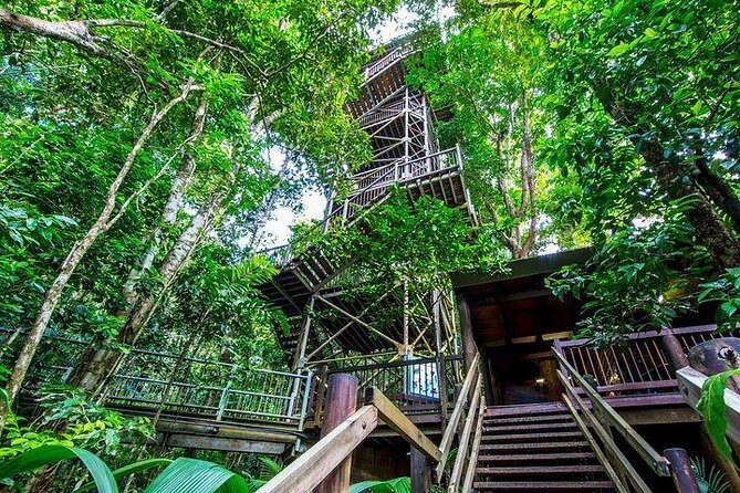 Daintree Discovery Centre Family Pass Ticket - Who Should Consider This Experience?