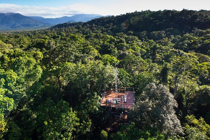 Daintree Discovery Centre Single Pass - Final Thoughts: Who Is This Tour Best For?