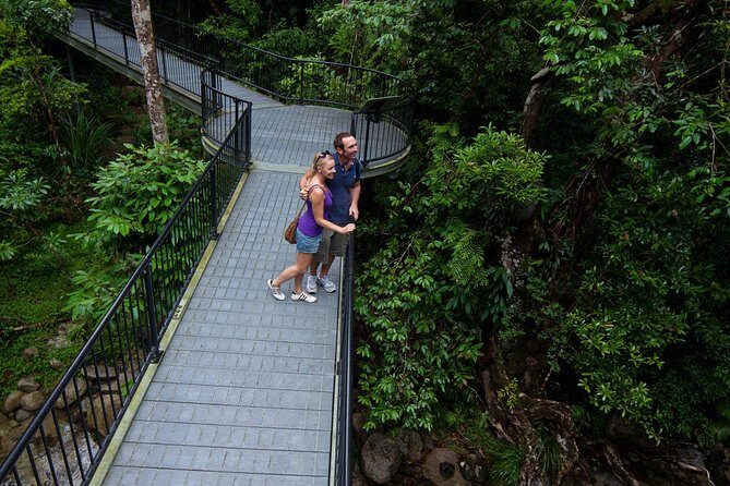 Daintree Rainforest and Cape Tribulation Day Tour from Cairns - Final Thoughts: Who Will Love This Tour?