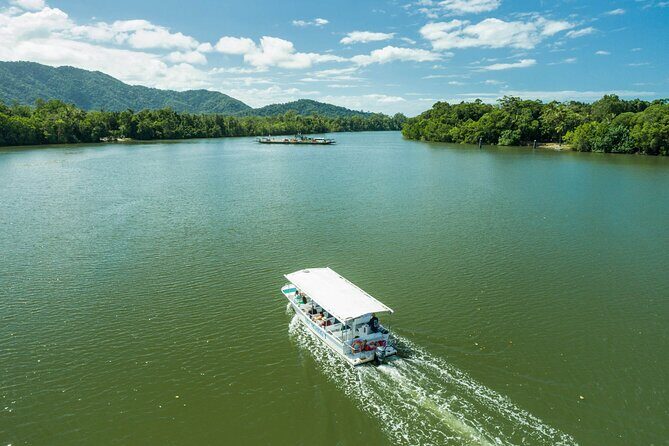 Daintree Rainforest and Cape Tribulation Full Day Tour - FAQ