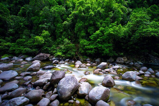 Daintree Rainforest, Mossman Gorge Small-Group from Port Douglas - What Makes This Tour Stand Out