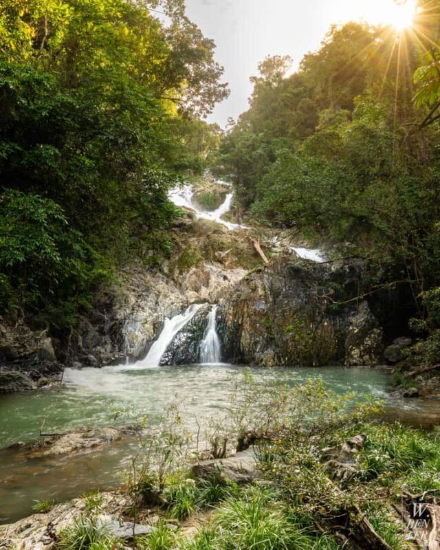 Daintree Rainforest: Waterfall Walk, Swim & Crocodile Cruise - Final Words