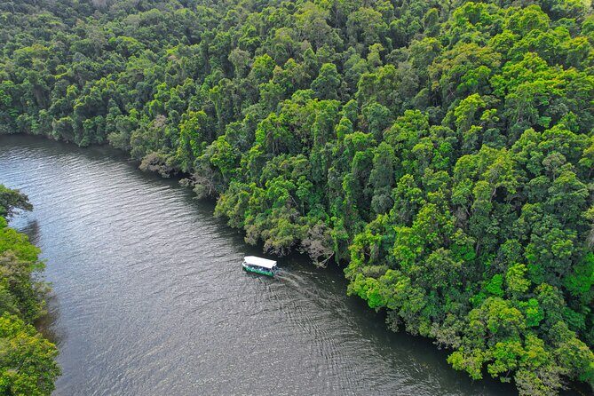 Daintree River Cruise - Setting the Scene: Port Douglas and the Daintree Ecosystem