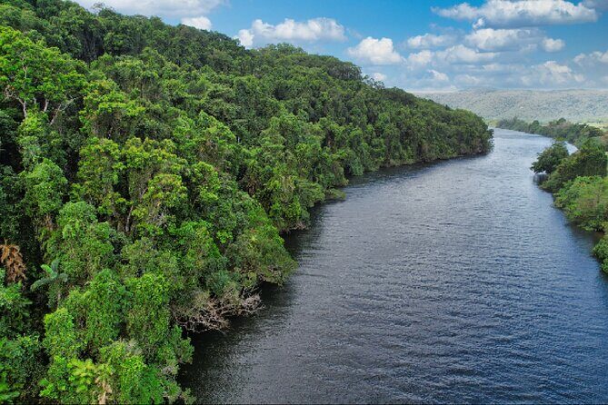 Daintree River Cruise - Practical Considerations