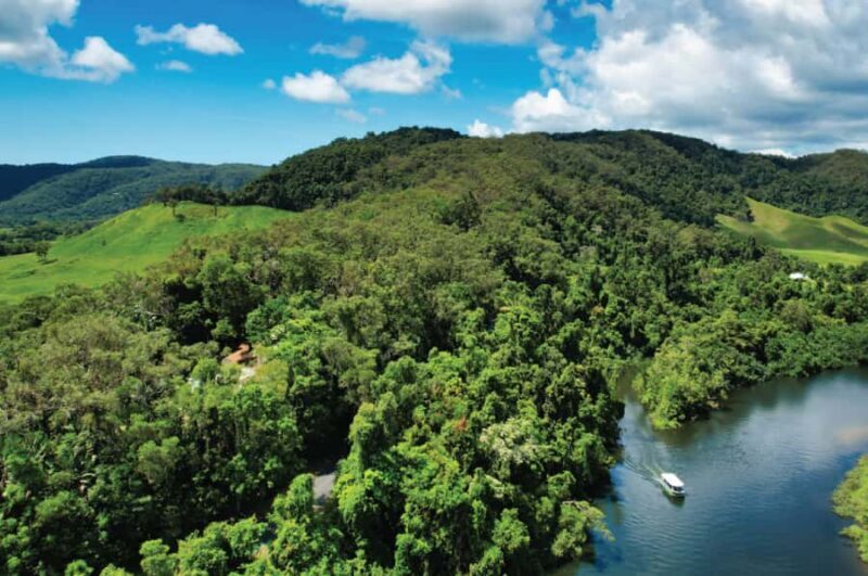 Daintree: River Rainforest Crocodile & Wildlife Cruise (DV) - Wildlife Sightings and What You Might Expect