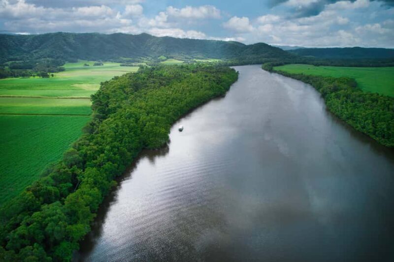Daintree River Rainforest: Crocodile & Wildlife Cruises (DG) - Key Points