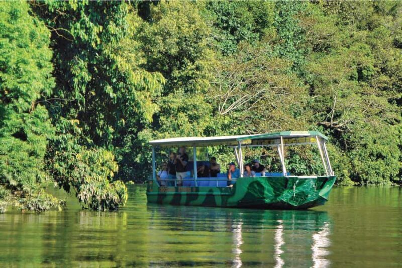 Daintree River Rainforest: Crocodile & Wildlife Cruises (DG) - The Experience: A Balance of Relaxation and Education