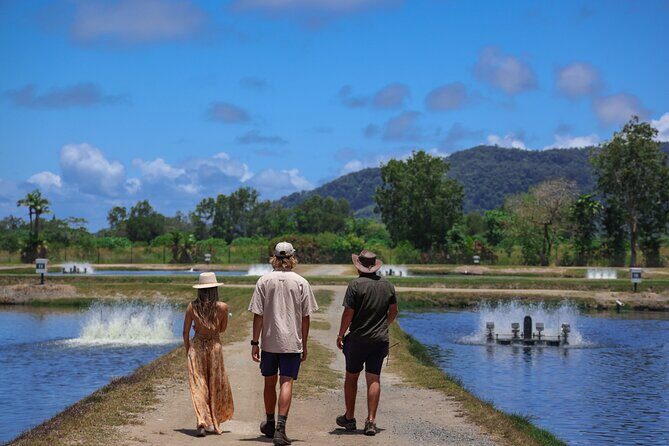 Daintree Sensations - Who Will Love This Tour?