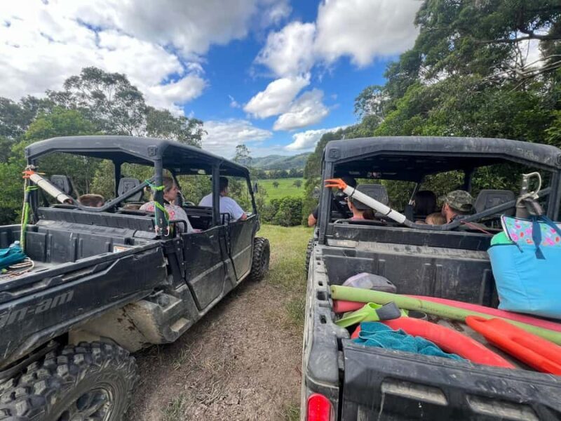 Daintree waters tour, all terrain vehicles and light lunch. - Key Points