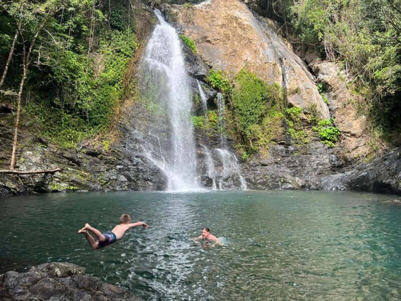 Daintree waters tour, all terrain vehicles and light lunch. - A Closer Look at the Itinerary