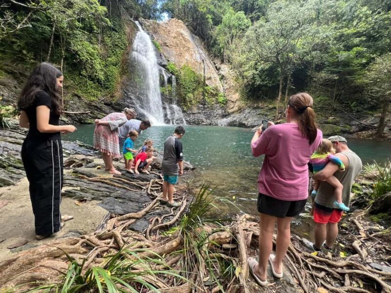 Daintree waters tour, all terrain vehicles and light lunch. - The Authenticity Factor