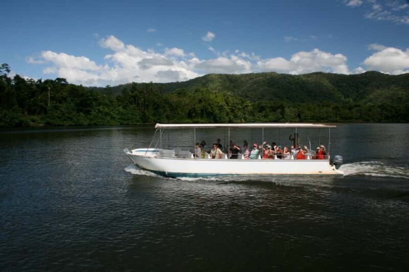 Daintree waters tour, all terrain vehicles and light lunch. - Practical Details and Considerations
