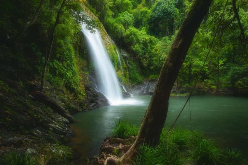 Daintree waters tour, all terrain vehicles and light lunch. - Who Should Consider This Tour?
