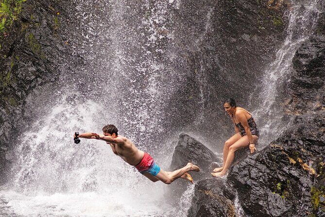Daintree Waters Tour - Exploring the Daintree Waters Tour: What to Expect