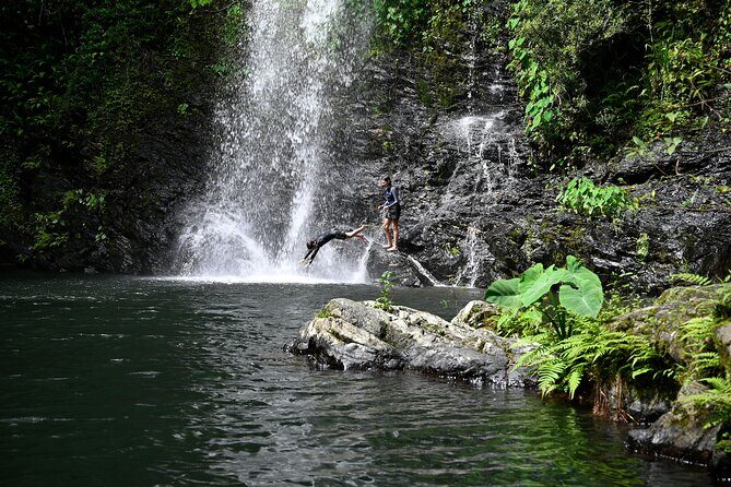 Daintree Waters Tour - Authentic Encounters and Top Highlights