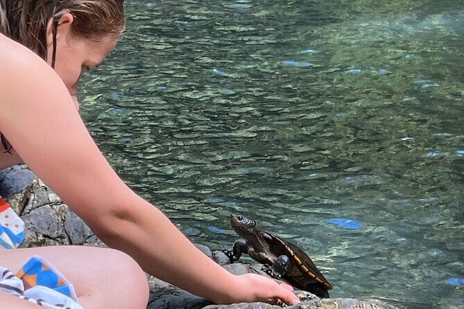 Daintree Waters Tour - Who Should Consider This Tour?