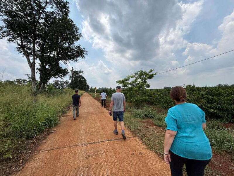 Dak Lak BMT Coffee Tour - Discovering Vietnam’s Coffee Heartland: The Dak Lak BMT Coffee Tour
