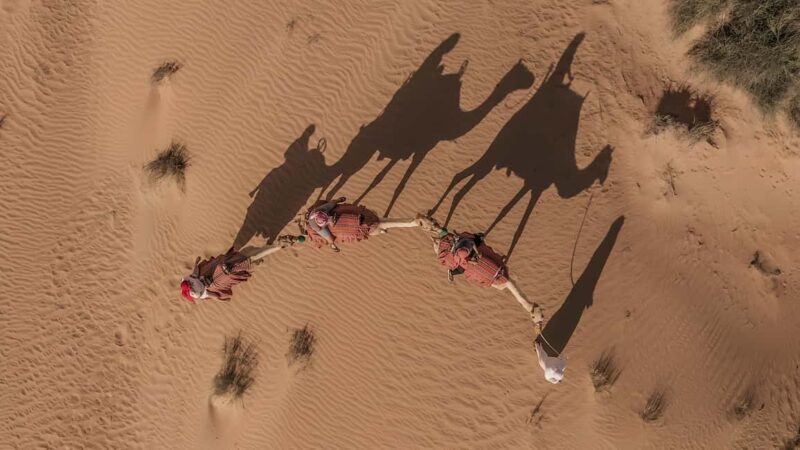 Dakhla Camel Ride in the Desert - Dakhla Camel Ride in the Desert: An Authentic Journey into Morocco’s Unique Wilderness