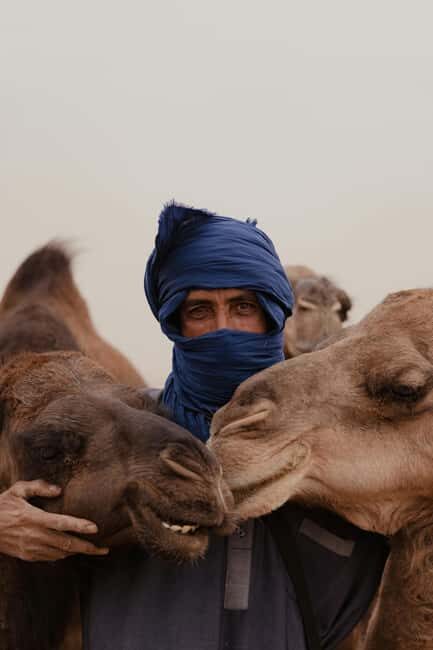 Dakhla Camel Ride in the Desert - Key Points