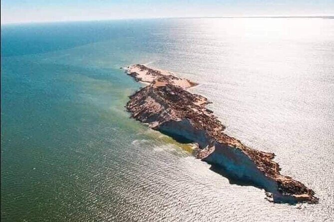 Dakhla Catamaran Tour - Who Should Book This Tour?