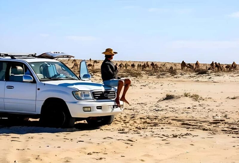Dakhla: Imlili Desert 4x4 Tour with Oyster Tasting - FAQ