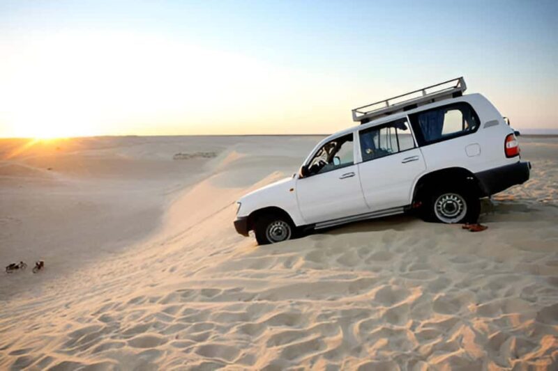 Dakhla: Private Tour to Imlili with Picnic & Tea - Who Will Enjoy This Tour?