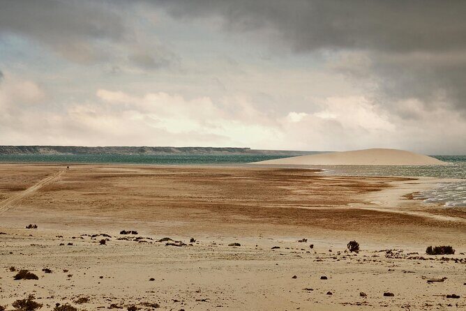 Dakhla White Dune Tour - In The Sum Up