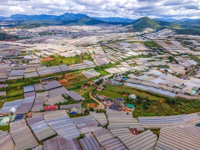 Dalat: Best of the Countryside Tour in a Private Car - Detailed Review: What to Expect on the Best of Dalat Countryside Tour