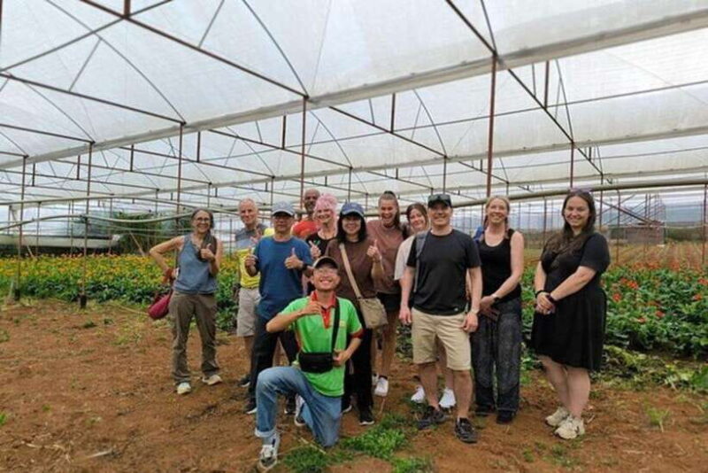 Dalat Countryside & Pongour Waterfall Tours (Small Group) - A Day of Contrasts and Natural Wonders