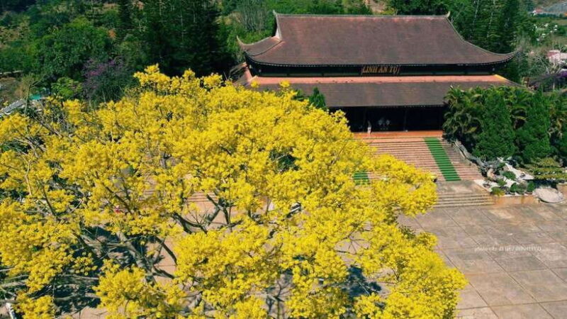 Dalat Countryside & Pongour Waterfall Tours (Small Group) - Who Will Love This Tour?