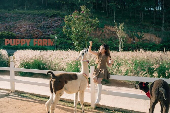 Dalat Countryside Tour $ Elephant falls - Who Will Enjoy This Tour?