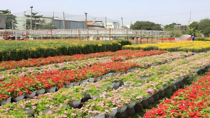 Dalat Countryside Tour - Final Thoughts