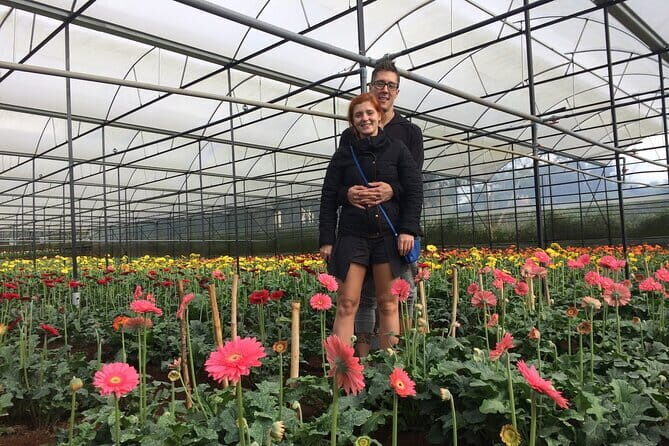 Dalat Discovery Elephant Falls , Pongour Falls & Countryside Tour - Practicalities & Value