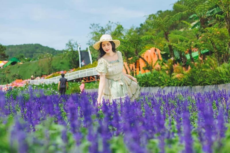 Dalat: Fun and Farm Experience with Local Guide - What Visitors Say