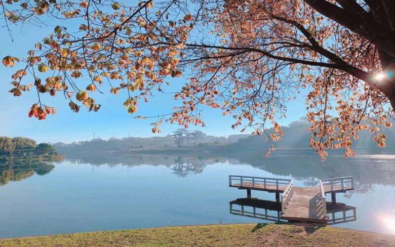 Dalat Highlights : Explore Top Attractions in the City - Key Points