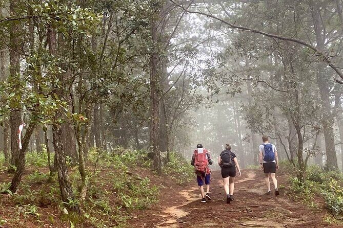 Dalat Pinhatt Peak Jungle Trek and Tuyen Lam Lake - Exploring the Dalat Pinhatt Peak Jungle Trek and Tuyen Lam Lake