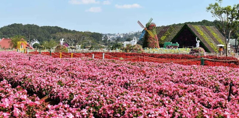 Dalat: Sightseeing and Waterfalls Tour - Authentic Insights from Travelers