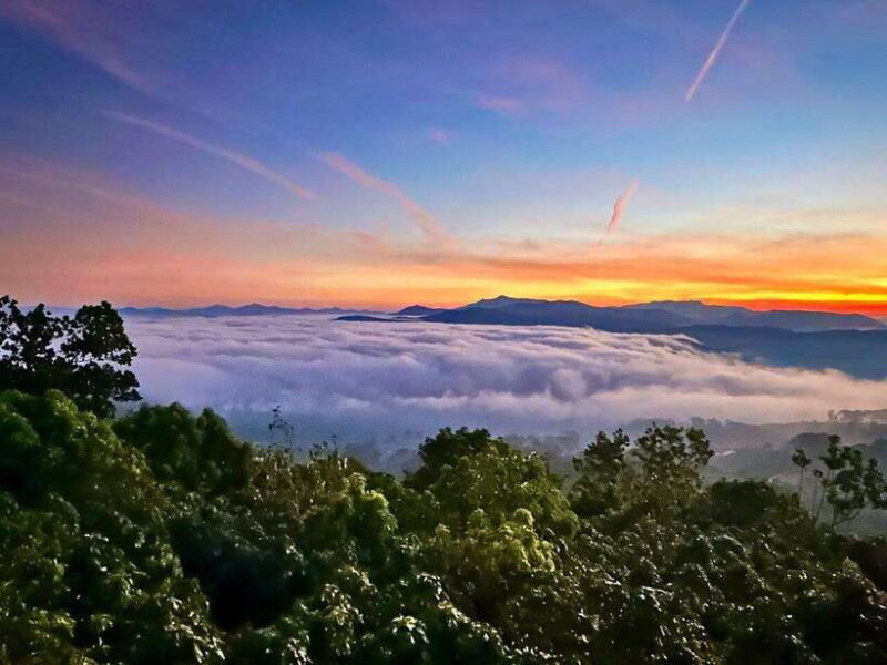 DaLat: Sunrise, Clouds, Peaceful Mornings from 4:00 to 10:00 - What Reviewers Say