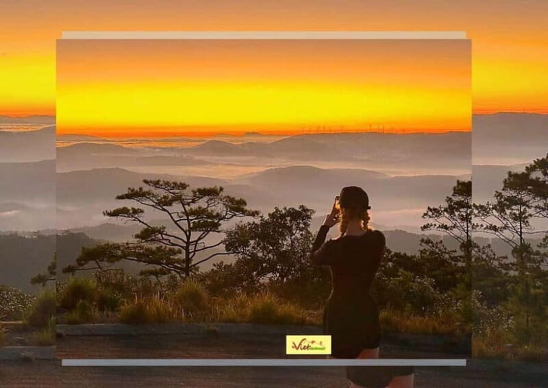 Dalat: Sunrise Trekking and Cloud Hunting experience - Key Points