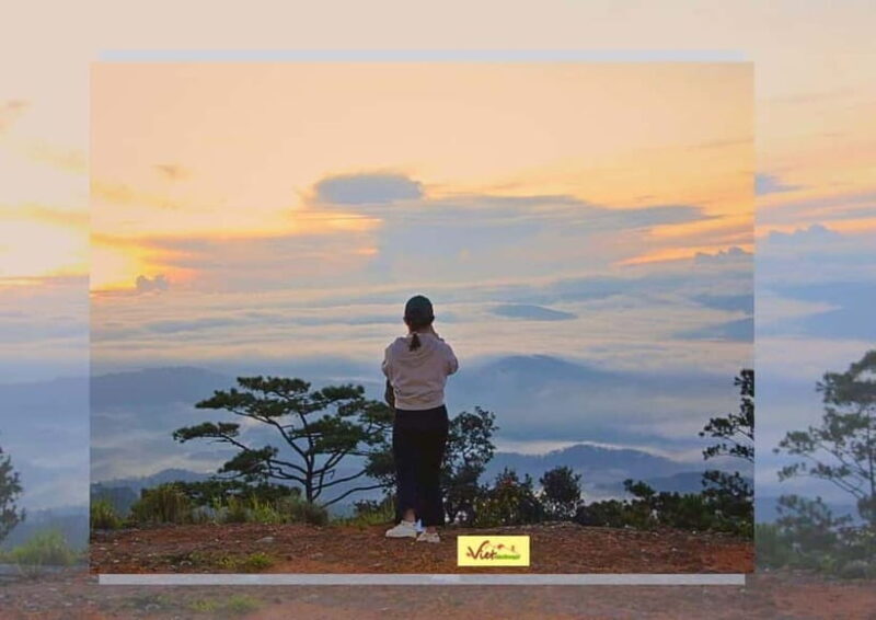 Dalat: Sunrise Trekking and Cloud Hunting experience - The Sum Up
