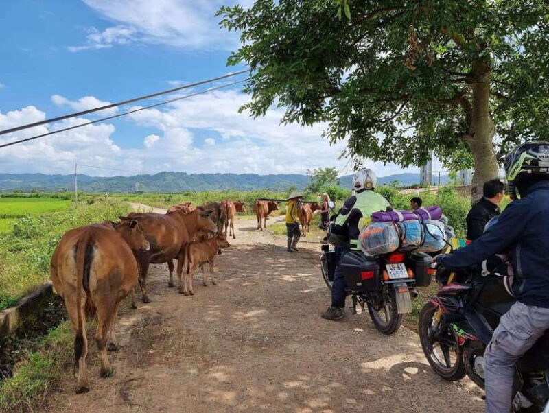 Dalat to Cat Tien National Park & Ho Chi Minh (2 or 3 Days) - FAQs