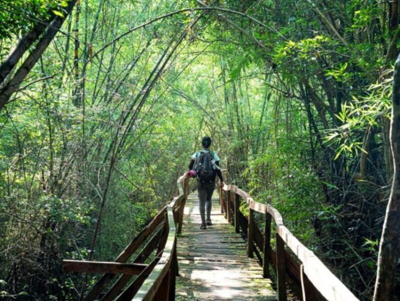 Dalat to Cat Tien National Park & Saigon (3 Days) - Detailed Breakdown of the Itinerary