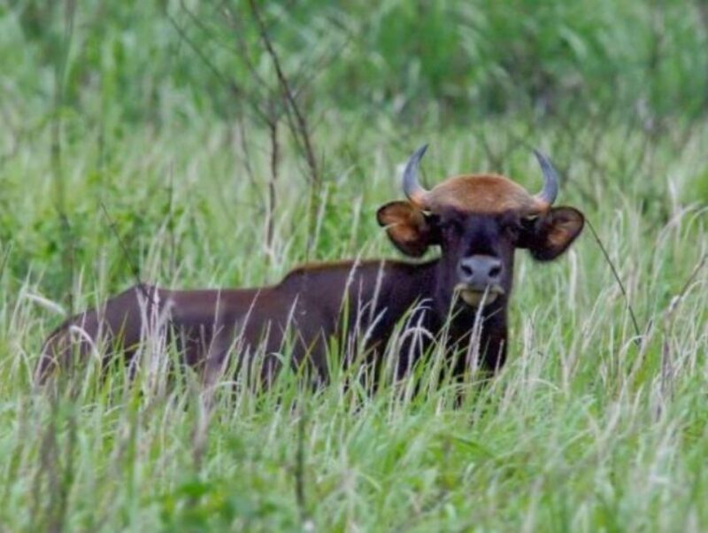 Dalat to Cat Tien National Park & Saigon (3 Days) - FAQ