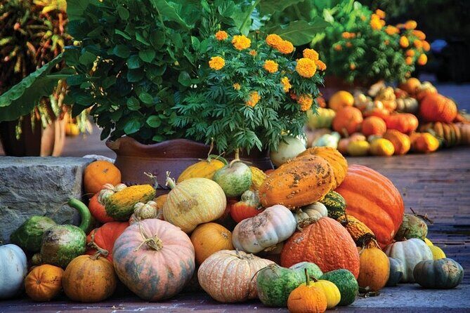 Dallas Arboretum and Botanical Gardens Tour - Who Will Love This Tour?