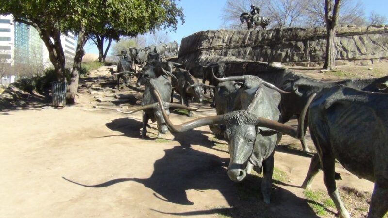 Dallas: City & Fort Worth Combination Tour - FAQ